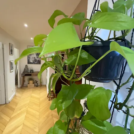Magnifique Parisien Proche Du Centre 아파트 파리